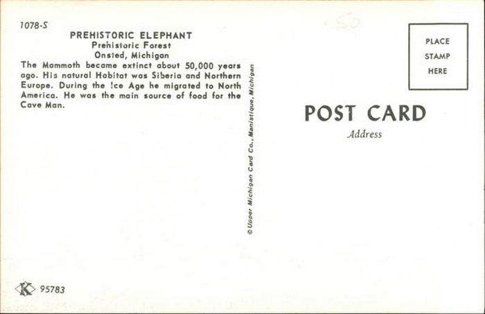 Prehistoric Forest - Vintage Postcard (newer photo)